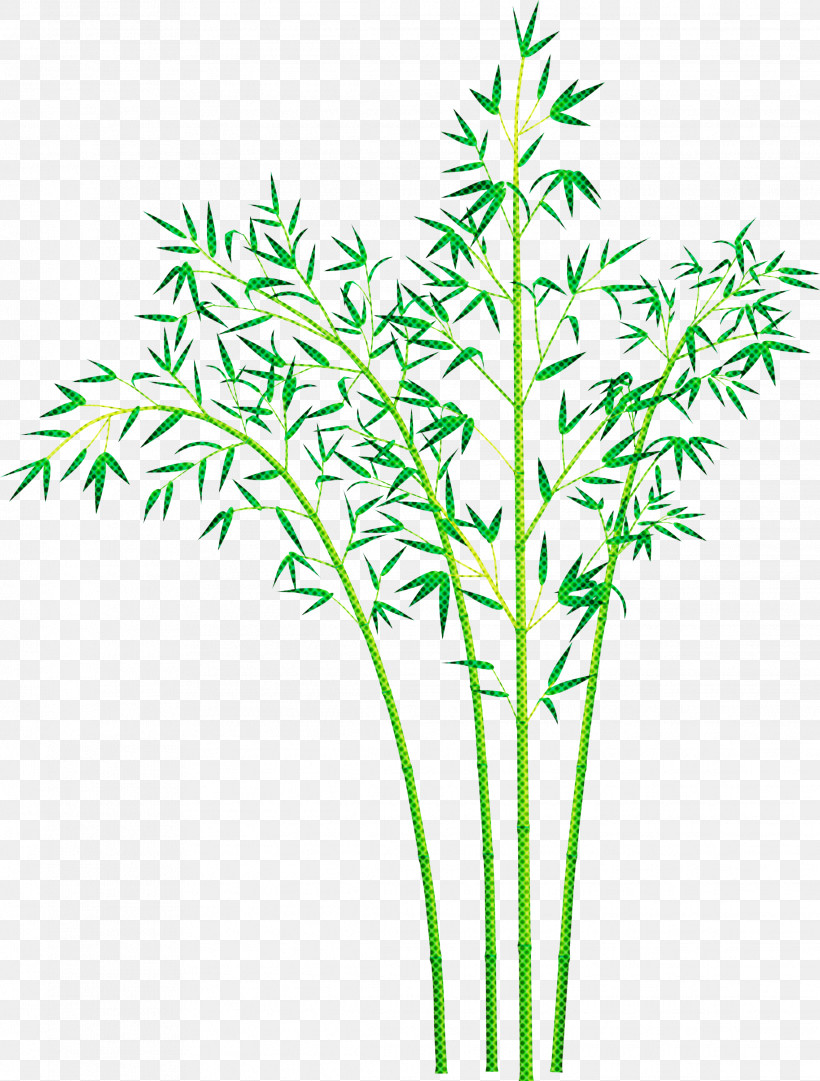 Bamboo Leaf, PNG, 2273x2999px, Bamboo, Flower, Grass, Grass Family, Heracleum Plant Download Free