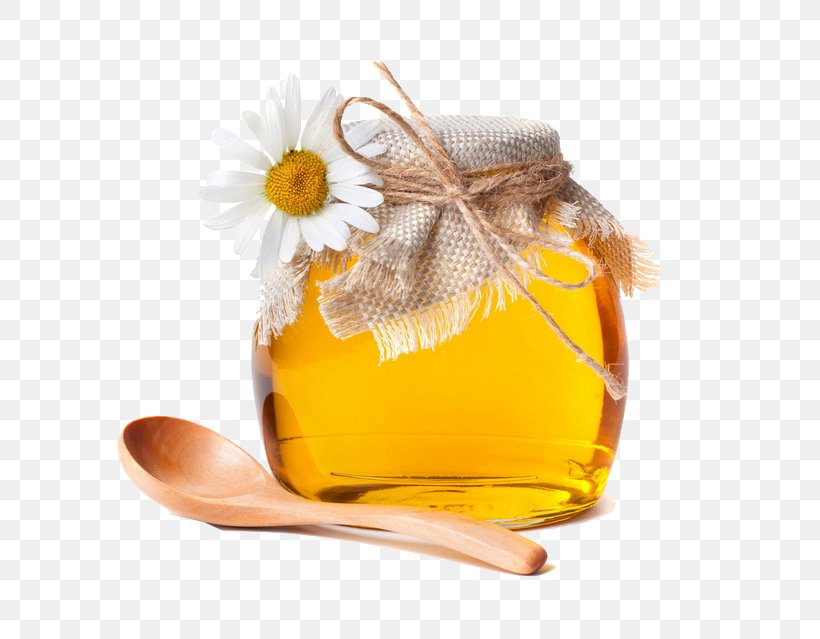 Bee Honey Garlic Pharyngitis Food, PNG, 658x639px, Bee, Antibiotics, Apple Cider Vinegar, Black Garlic, Common Cold Download Free