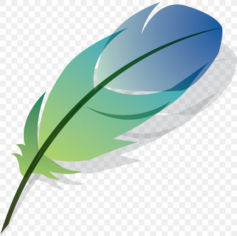Bird Feather Drawing, PNG, 1500x1495px, Bird, Blue, Bluegreen, Color, Drawing Download Free