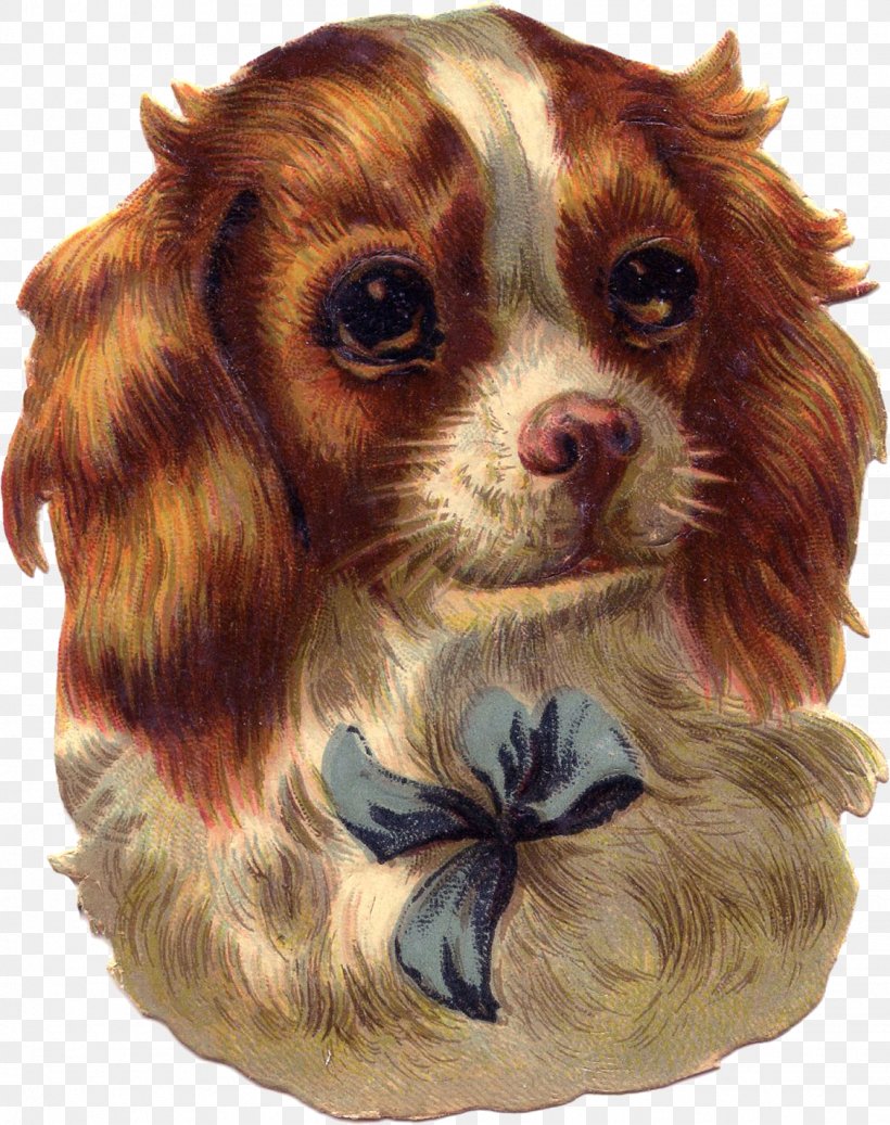 Puppy English Cocker Spaniel French Bulldog, PNG, 1126x1425px, Puppy, Carnivoran, Cat, Cavalier King Charles Spaniel, Companion Dog Download Free