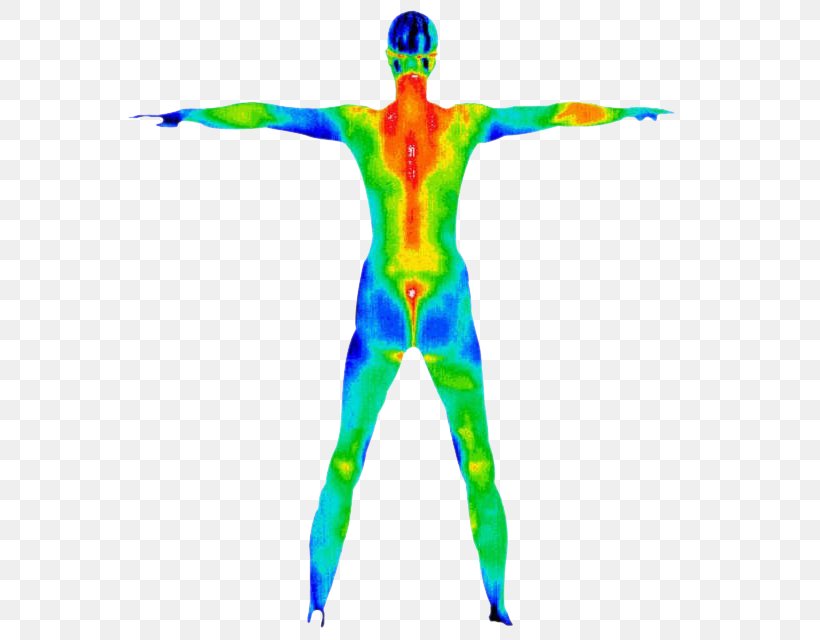 Thermography Sunshine Healing Arts, PNG, 625x640px, Thermography, Arm, Cancer Screening, Cell, Clinic Download Free