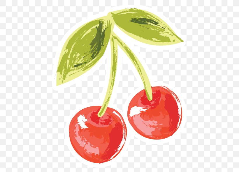 Cherry Natural Foods Superfood, PNG, 493x593px, Cherry, Food, Fruit, Natural Foods, Plant Download Free