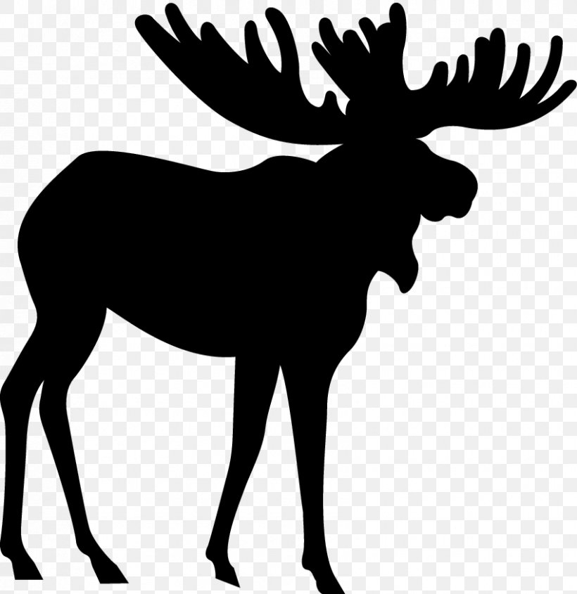 Moose Canvas Print Art Clip Art, PNG, 850x876px, Moose, Antler, Art, Artist, Black And White Download Free