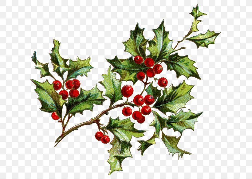 Flower Christmas Berry Clip Art, PNG, 650x581px, Flower, Aquifoliaceae, Aquifoliales, Berry, Branch Download Free