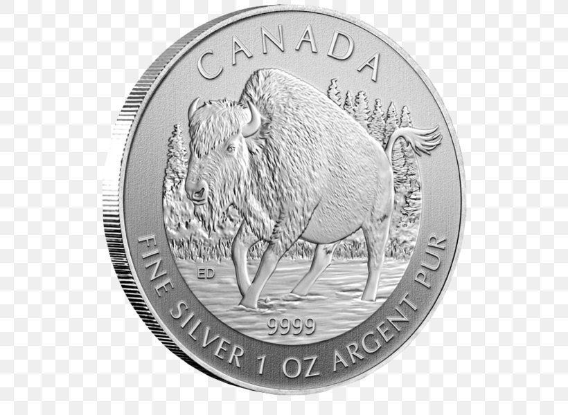 Silver Coin Canada Quarter, PNG, 537x600px, Silver, American Silver Eagle, Black And White, Bullion, Bullion Coin Download Free