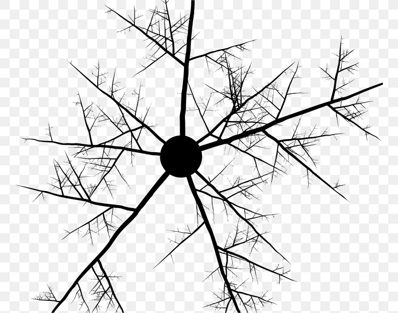 Twig Tree Clip Art, PNG, 758x644px, Twig, Area, Artwork, Black, Black And White Download Free