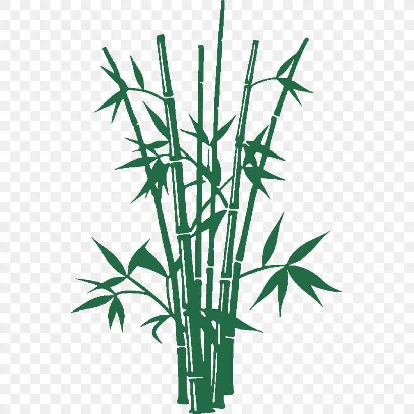 Vector Graphics Bamboo Illustration Shutterstock, PNG, 1000x1000px, Bamboo, Black And White, Commodity, Drawing, Fallopia Japonica Download Free