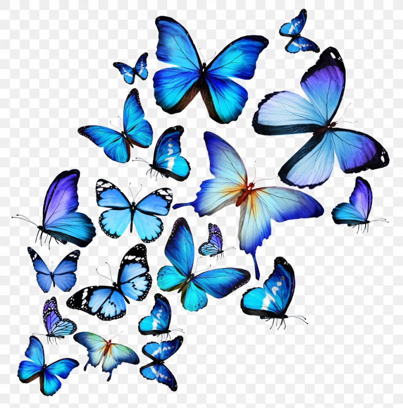 Butterfly Stock Photography Royalty-free Drawing Illustration, PNG, 989x1000px, Butterfly, Artwork, Blue, Brush Footed Butterfly, Color Download Free