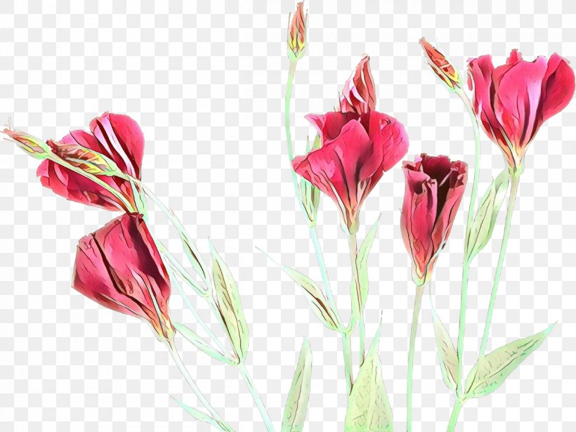 Flowers Background, PNG, 1200x901px, Cartoon, Artificial Flower, Botany, Bud, Candy Cane Sorrel Download Free
