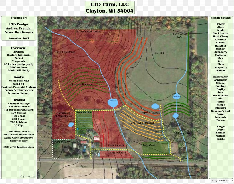 Land Lot Map Real Property Tuberculosis, PNG, 3889x3056px, Land Lot, Area, Map, Real Property, Tree Download Free