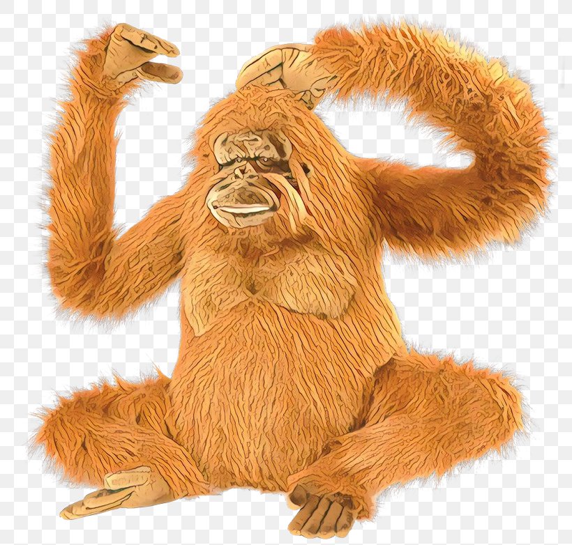 Orangutan Monkey Great Apes Fur Terrestrial Animal, PNG, 800x782px, Orangutan, Animal, Animal Figure, Ape, Fur Download Free