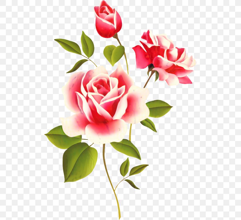 Still Life: Pink Roses Clip Art Still Life: Pink Roses, PNG, 519x749px, Rose, Artificial Flower, Botany, Bouquet, Branch Download Free