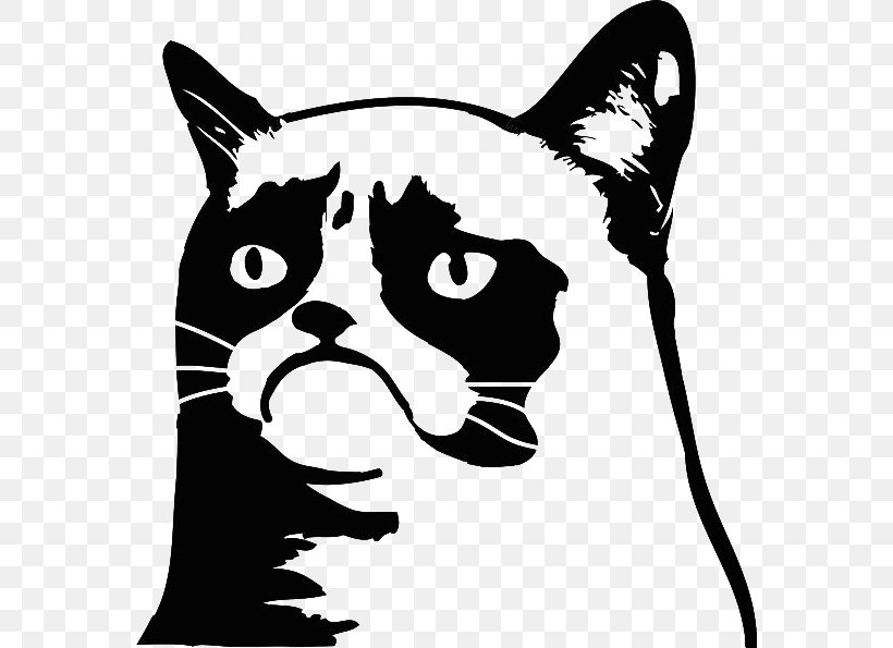 Decal Grumpy Cat Bumper Sticker Paper, PNG, 570x595px, Decal, Black, Black And White, Bumper, Bumper Sticker Download Free