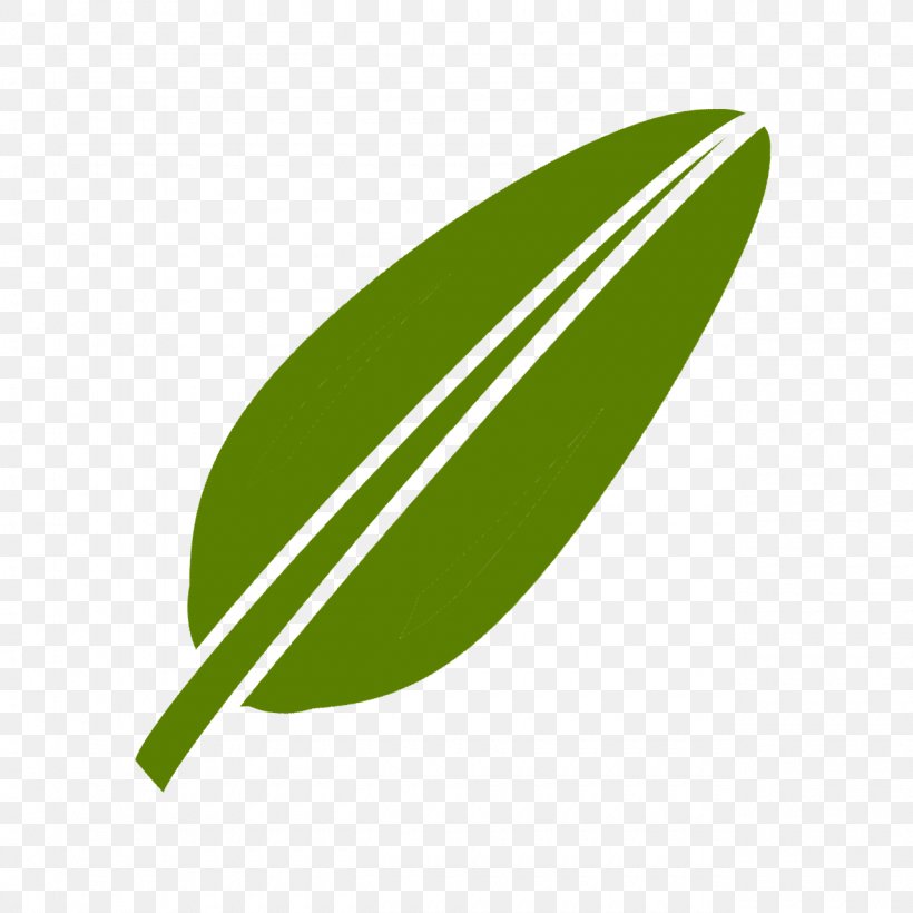 Leaf Green Logo Plant Line, PNG, 1280x1280px, Leaf, Flower, Grass, Green, Logo Download Free