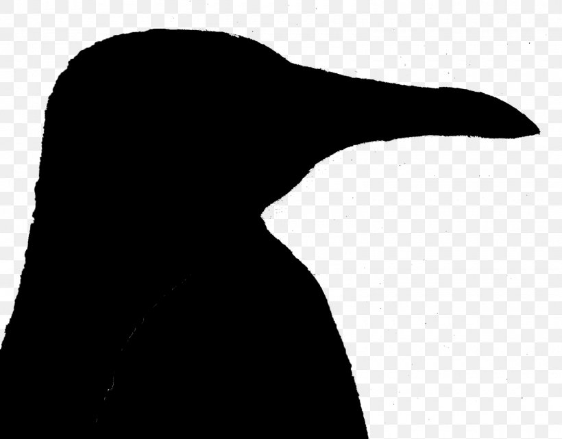 Penguin Water Bird Beak Wing, PNG, 1600x1252px, Penguin, Beak, Bird, Black M, Blackandwhite Download Free