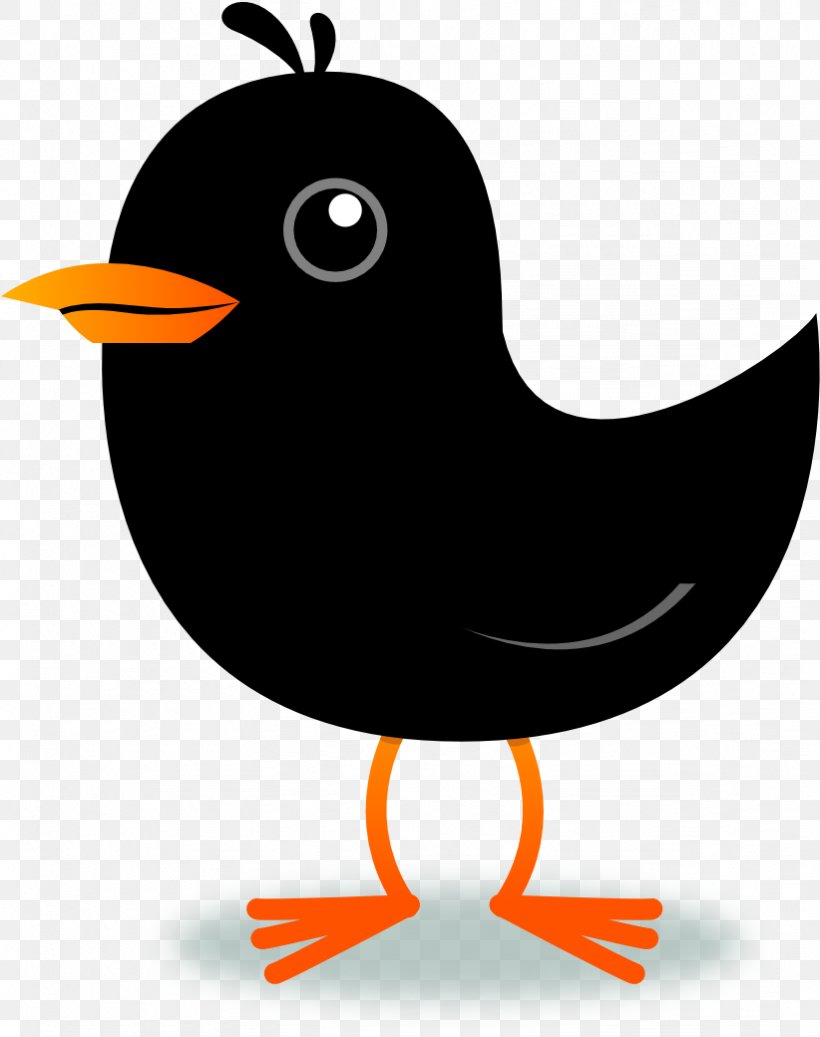 Bird Silhouette, PNG, 822x1040px, Bird, Beak, Blackbird, Cartoon, Perching Bird Download Free
