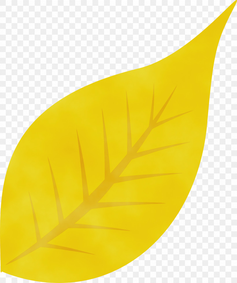 Leaf Yellow Science Plant Structure Biology, PNG, 2510x2999px, Fall Leaf, Autumn Leaf, Biology, Leaf, Paint Download Free