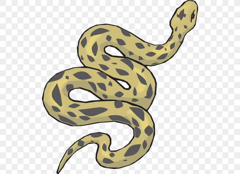 Snake Green Anaconda Clip Art, PNG, 534x594px, Snake, Animation, Boa  Constrictor, Boas, Cartoon Download Free