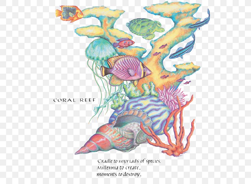 Coral Reef T-shirt Animal, PNG, 600x600px, Watercolor, Cartoon, Flower, Frame, Heart Download Free