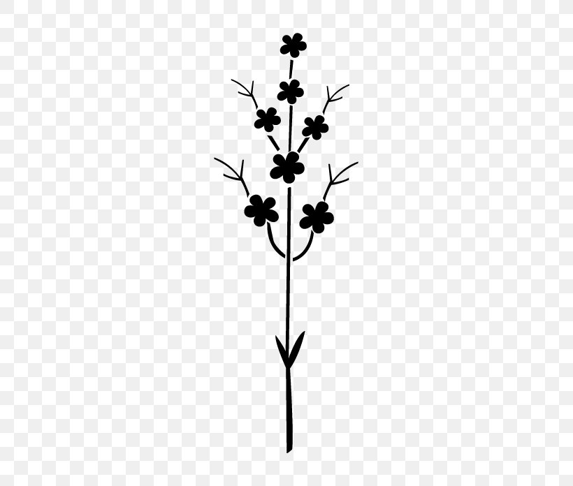 Twig Plant Stem Leaf Flower Line, PNG, 696x696px, Twig, Flower, Leaf, Plant, Plant Stem Download Free