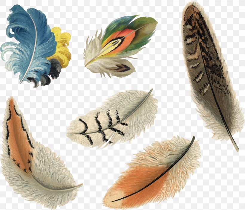 Feather Ink Pen, PNG, 2500x2143px, Feather, Digital Image, Drawing, Footwear, Information Download Free