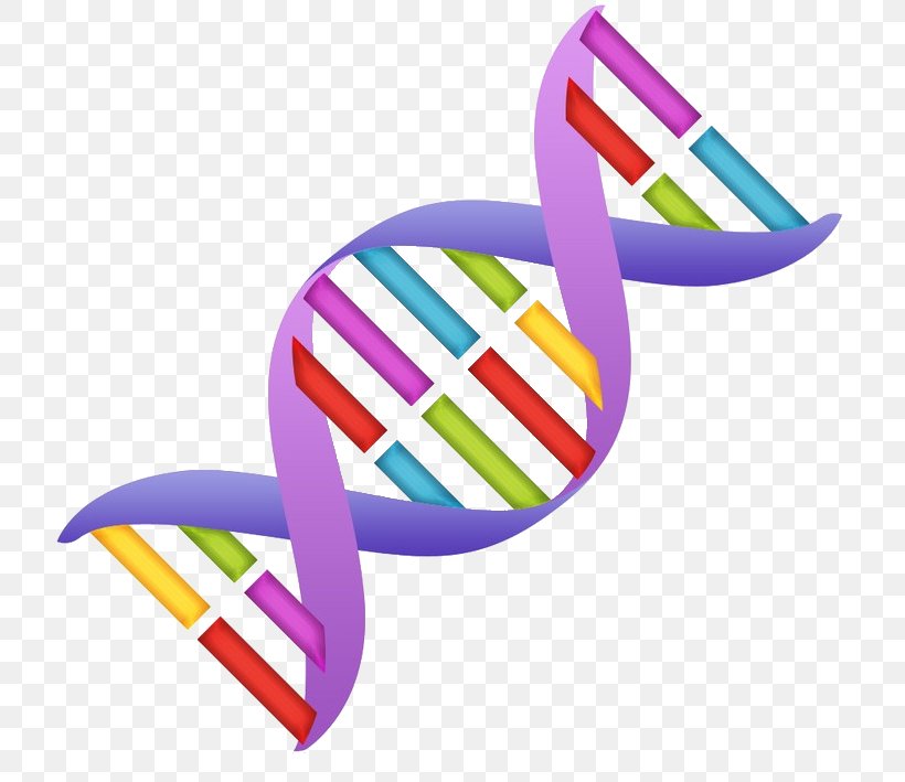 Nucleic Acid Double Helix DNA Clip Art, PNG, 771x709px, Nucleic Acid Double Helix, Blog, Dna, Dna Replication, Gene Download Free