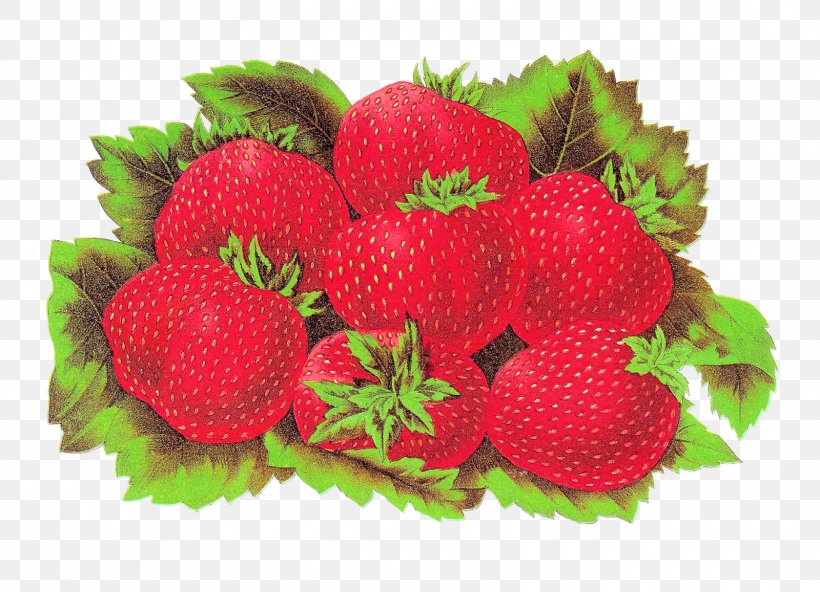Strawberry Label Shortcake Accessory Fruit Food, PNG, 1600x1157px, Strawberry, Accessory Fruit, Berry, Food, Fruit Download Free