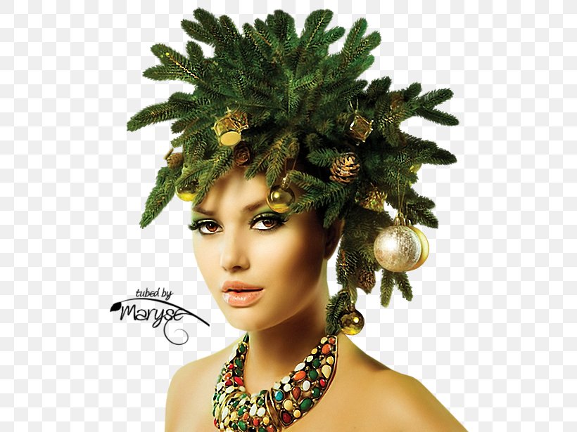 Make-up Snegurochka Hairstyle Holiday Fashion, PNG, 552x615px, Makeup, Christmas, Christmas Tree, Costume, Face Download Free