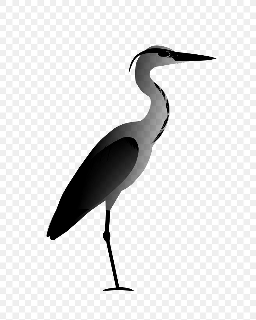 Stork Ibis Water Bird Beak, PNG, 724x1024px, Stork, Beak, Bird, Ciconiiformes, Crane Download Free