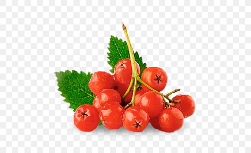 Berry Stock Photography Nalewka Rowan, PNG, 500x500px, Berry, Acerola, Acerola Family, Cherry, Cranberry Download Free