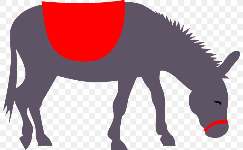 Donkey Rides Download Clip Art, PNG, 800x506px, Donkey, Colt, Donkey Rides, Equestrian, Fictional Character Download Free
