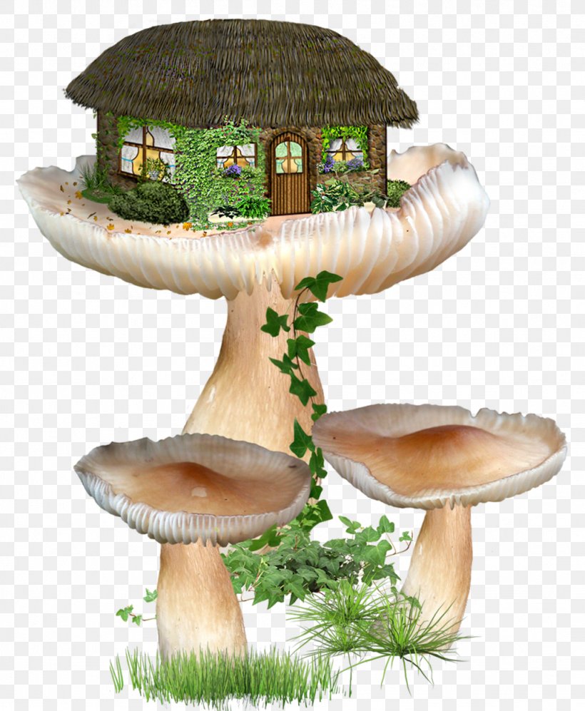 Fairy, PNG, 1024x1246px, Fairy, Art, Edible Mushroom, Elf, Fairy Tale Download Free