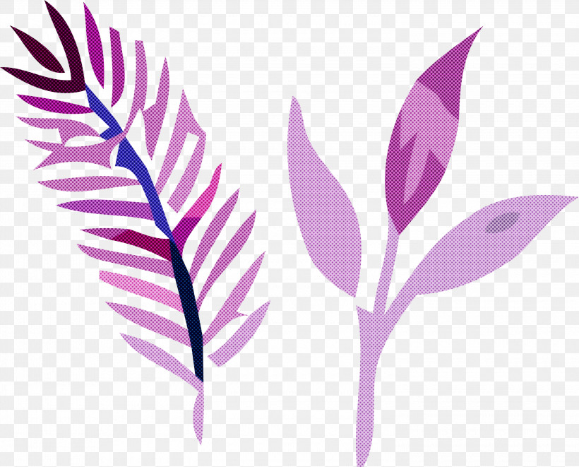 Feather, PNG, 3000x2419px, Leaf, Biology, Branching, Feather, Flower Download Free