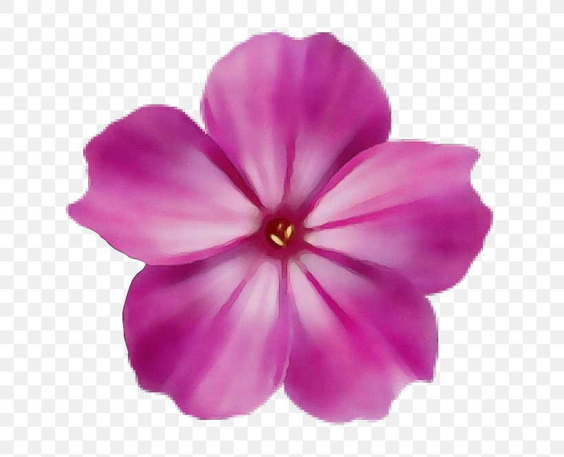 Petal Pink Flower Violet Plant, PNG, 664x664px, Watercolor, Flower, Flowering Plant, Geranium, Herbaceous Plant Download Free