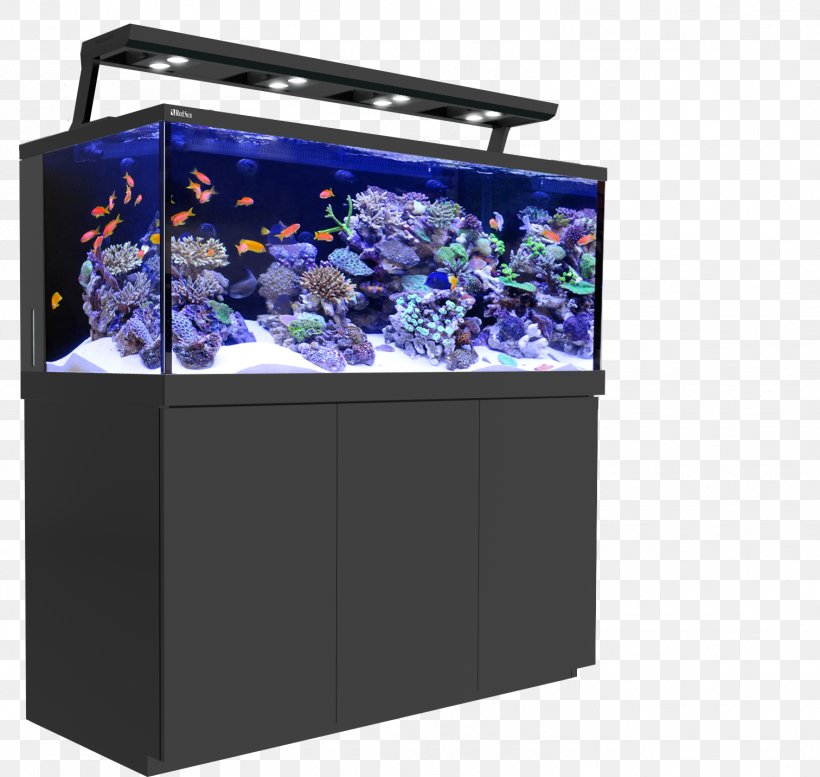 Red Sea Reef Aquarium Coral Reef, PNG, 1512x1433px, Red Sea, Aquarium, Aquarium Lighting, Aquariums, Artificial Reef Download Free