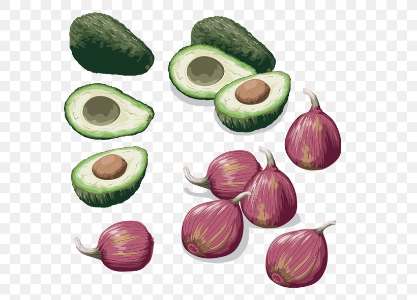 Avocado Onion Vegetable, PNG, 591x591px, Avocado, Celery, Commodity, Food, Fruit Download Free