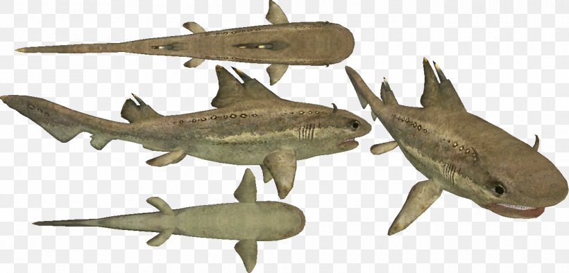 Hybodus Liopleurodon Ophthalmosaurus Shark Eustreptospondylus, PNG, 1320x635px, Hybodus, Animal, Animal Figure, Cladoselache, Cryptoclidus Download Free