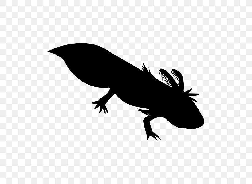 Mole Cartoon, PNG, 600x600px, Axolotl, Amphibians, Aquarium, Breed, Lake Xochimilco Download Free