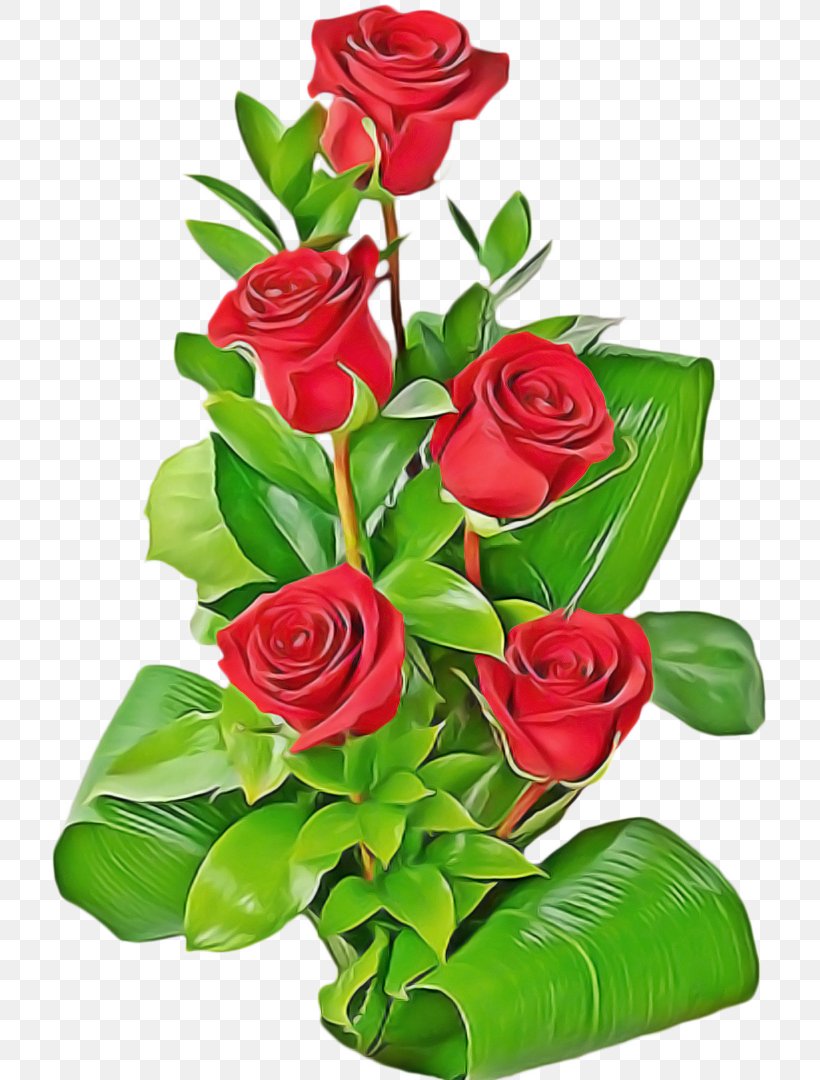 Valentines Day Background, PNG, 721x1080px, Rose, Afternoon, Anthurium, Artificial Flower, Blue Rose Download Free