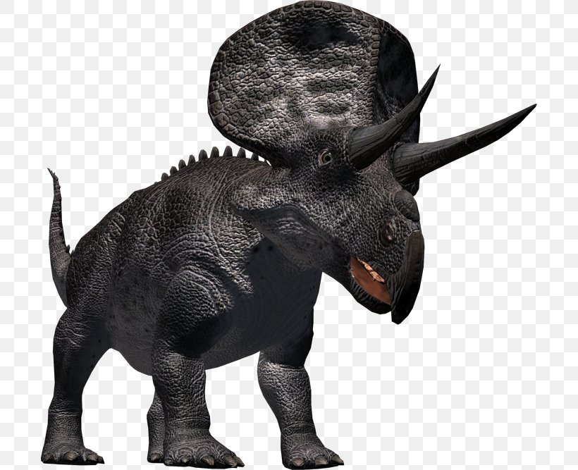 Zuniceratops African Elephant Triceratops Horn Pachycephalosaurus, PNG, 704x667px, Zuniceratops, African Elephant, Ceratopsians, Cretaceous, Dinosaur Download Free
