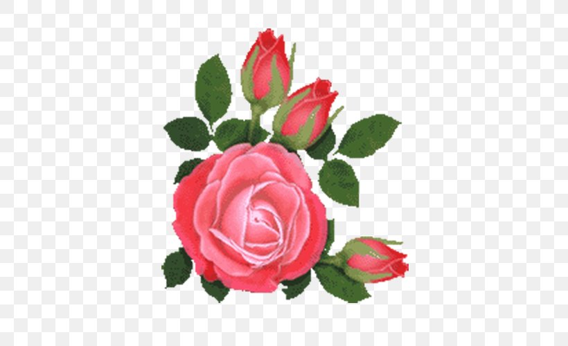 Beach Rose Flower Pink, PNG, 500x500px, Beach Rose, Cut Flowers, Floral Design, Floribunda, Floristry Download Free
