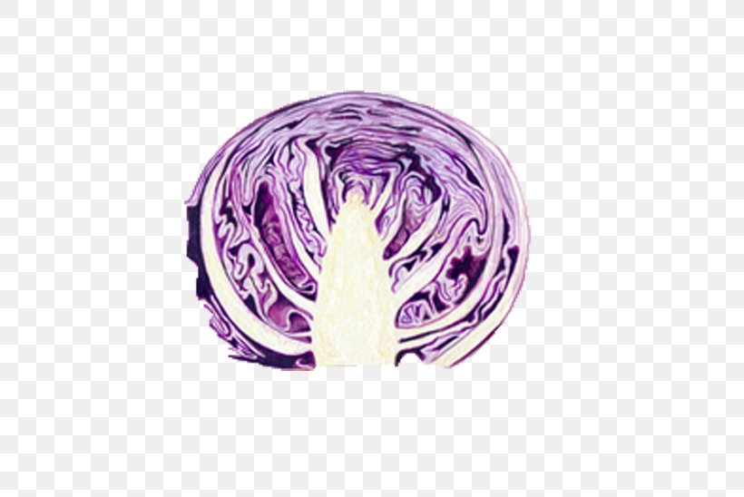 Red Cabbage Food Vegetable Purple, PNG, 554x548px, Cabbage, Brussels Sprout, Collard Greens, Eggplant, Food Download Free