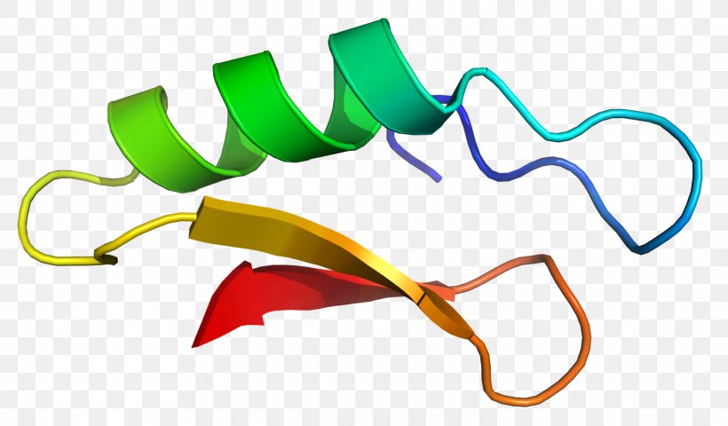 Defensin Plectasin Pseudoplectania Nigrella Antimicrobial Peptides Fungus, PNG, 1920x1125px, Defensin, Antibiotics, Antimicrobial, Antimicrobial Peptides, Artwork Download Free