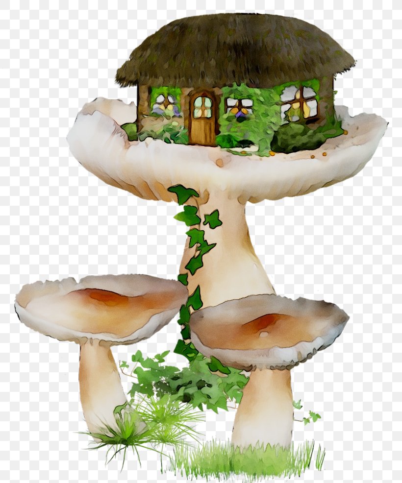 Edible Mushroom Agaricaceae, PNG, 810x986px, Edible Mushroom, Agaricaceae, Agaricomycetes, Agaricus, Fungus Download Free