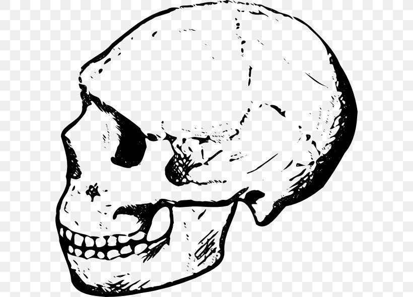 Skull Black And White Clip Art, PNG, 600x590px, Skull, Area, Ball, Black And White, Bone Download Free