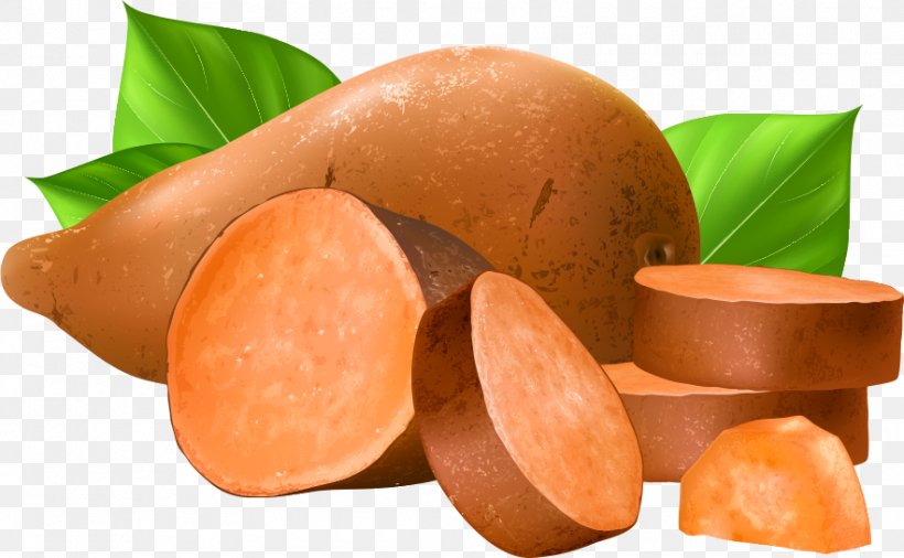 Sweet Potato Food, PNG, 883x545px, Sweet Potato, Bologna Sausage, Food, Potato, Shutterstock Download Free