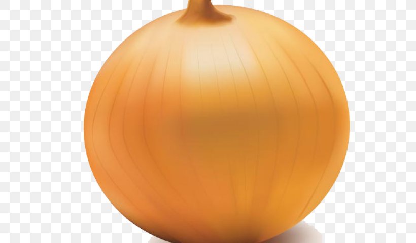 Yellow Onion Clip Art Calabaza Kodamacho Kodama, PNG, 640x480px, Yellow Onion, Allium, Calabaza, Honjo, Onion Download Free