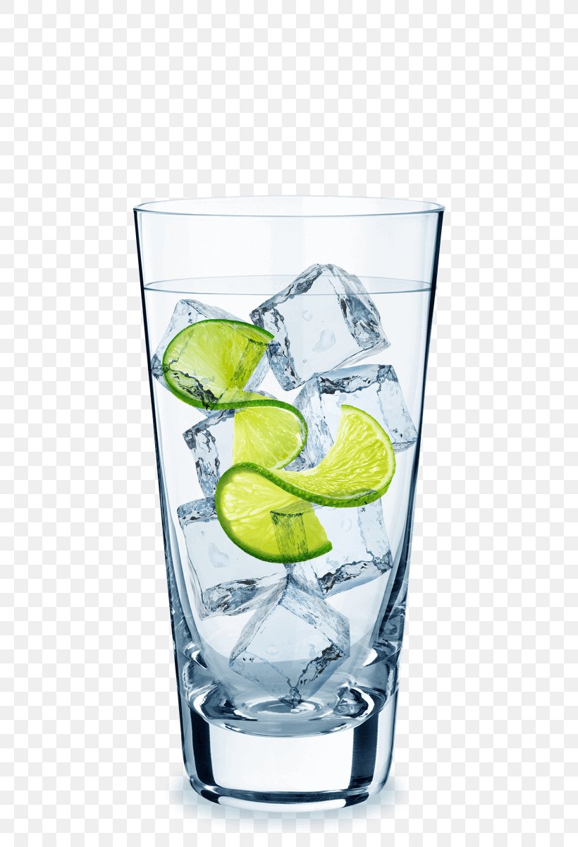 Gin And Tonic Vodka Tonic Cocktail Sea Breeze, PNG, 700x1200px, Gin And Tonic, Barware, Caipiroska, Cocktail, Cocktail Garnish Download Free