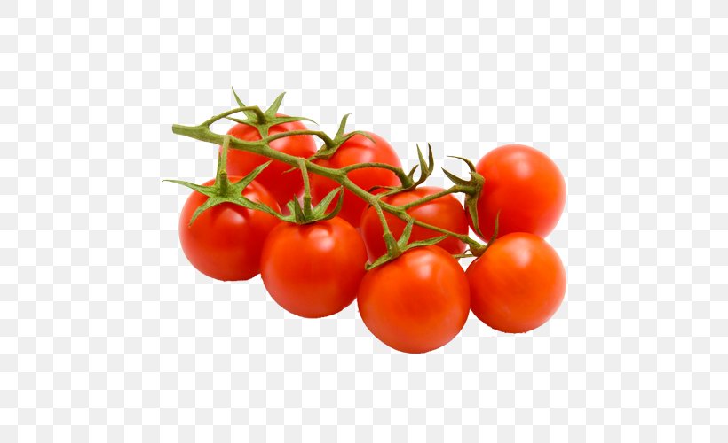Cherry Tomato Bruschetta Fruit Variety Food, PNG, 500x500px, Cherry Tomato, Bell Pepper, Bruschetta, Bush Tomato, Cherry Download Free