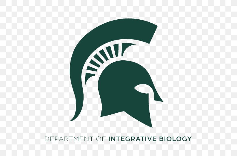 Eli Broad College Of Business University Michigan State Spartans Sparty Higher Education, PNG, 540x540px, Eli Broad College Of Business, Brand, College, East Lansing, Graduate University Download Free